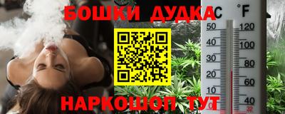 индика Комсомольск-на-Амуре