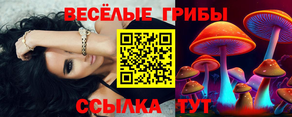 Галлюциногенные грибы мицелий  Псилоцибиновые грибы прущие грибы  Кольчугино  Вход с VPN 